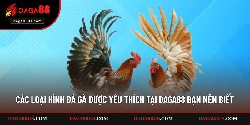 Các Loại Hình Đá Gà Được Yêu Thích Tại DAGA88