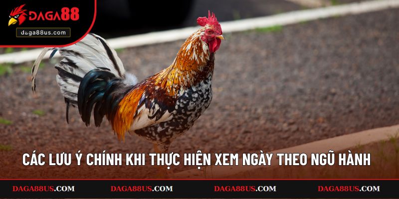 Các lưu ý chính khi thực hiện xem ngày đá gà theo ngũ hành