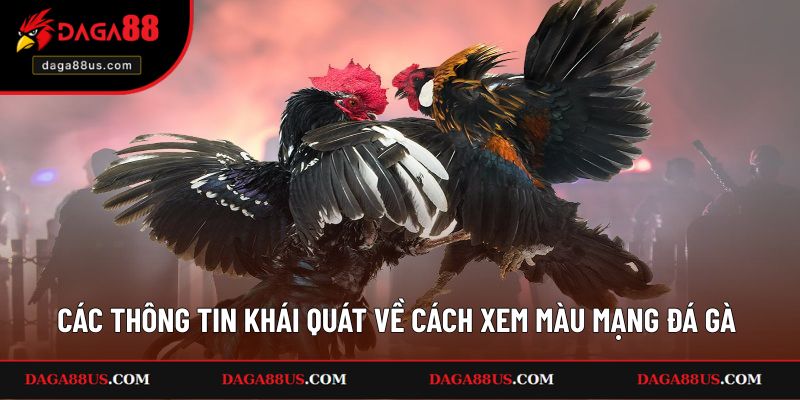 Các thông tin khái quát về cách xem màu mạng đá gà