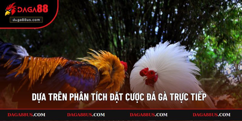 Dựa trên phân tích trong kinh nghiệm đặt cược đá gà trực tiếp