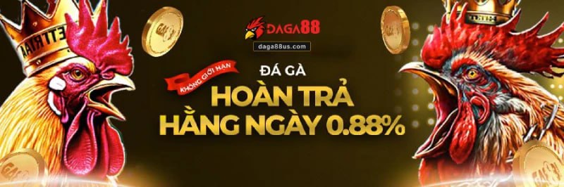 Hội viên cá cược đá gà không sợ thua
