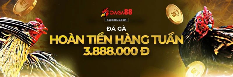 Ưu đãi hoàn tiền cược đến 3.888.000 VND