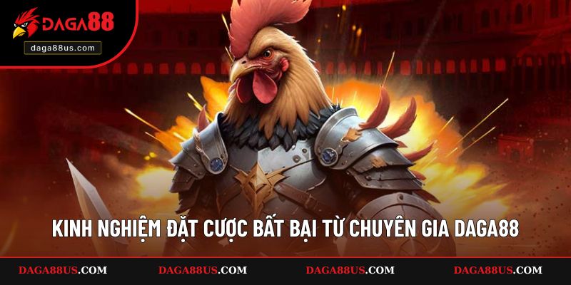 Kinh nghiệm cược đá gà cựa sắt bất bại tại đây