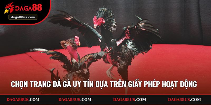 Kinh nghiệm lựa chọn trang đá gà trực tiếp uy tín dựa trên giấy phép hoạt động
