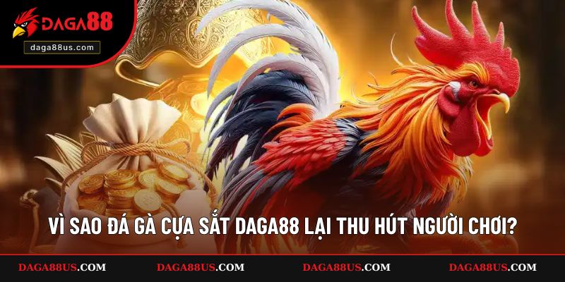 Lý do giúp đá gà cựa sắt trở nên thú vị