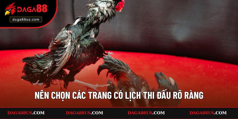 Nên chọn các trang có lịch thi đấu rõ ràng, có phân tích từ chuyên gia