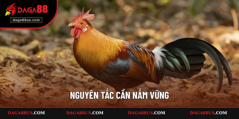 Nguyên tắc cần nắm vững