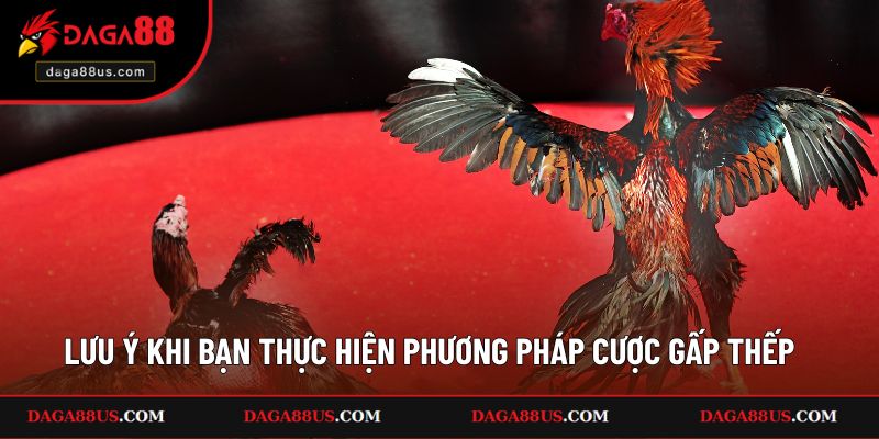 Những lưu ý chính khi bạn thực hiện phương pháp cược gấp thếp trong đá gà