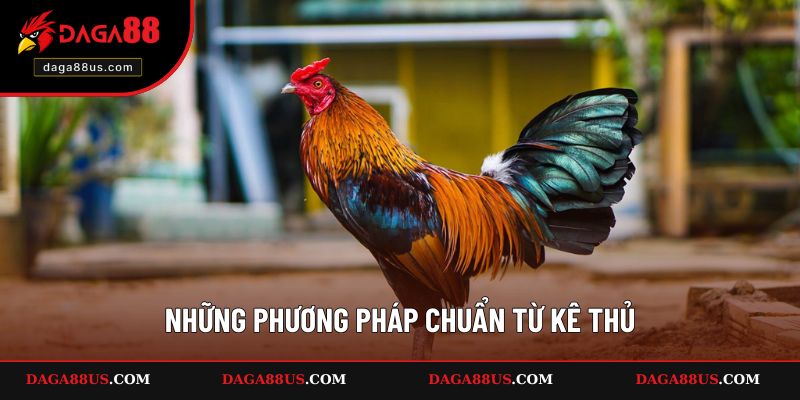 Những phương pháp chuẩn từ kê thủ