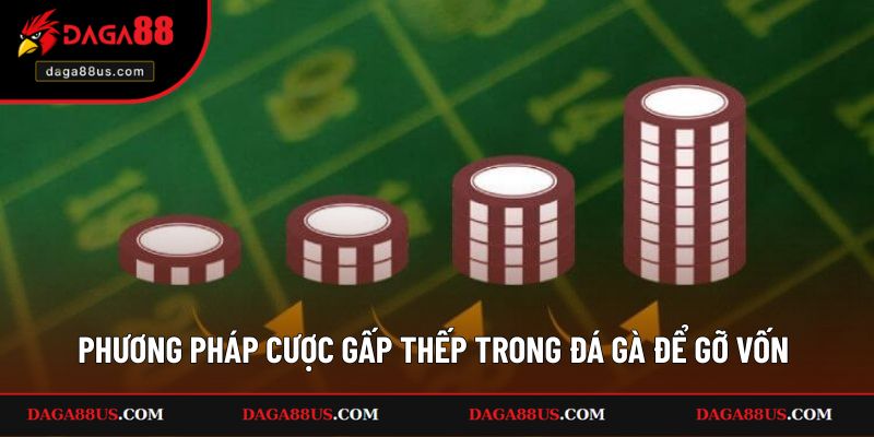 Phương Pháp Cược Gấp Thếp Trong Đá Gà Để Gỡ Vốn