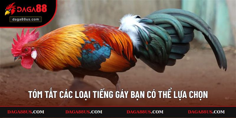 Tóm tắt các loại tiếng gáy bạn có thể lựa chọn